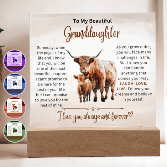 To Beautiful Granddaughter - Laugh Love Live - Acrylic Gift Plaque With LED Night Light