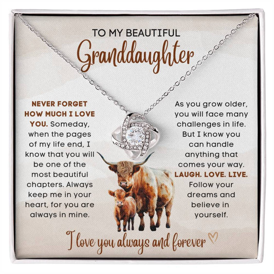 To my beautiful Granddaughter, gift from grandparent, grandma, grandpa, gift for Christmas, birthday, graduation, wedding, new job, necklace gift, pendant necklace, best Christmas gift