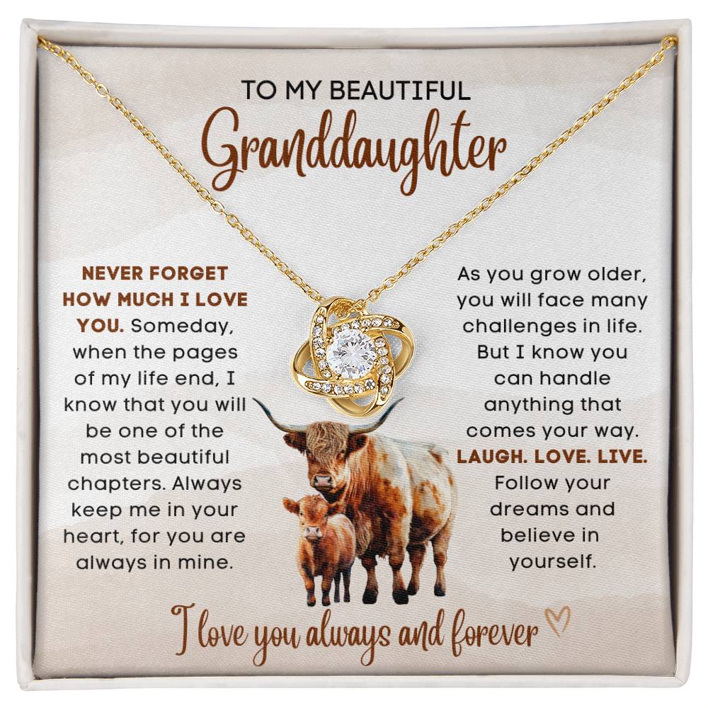 To my beautiful Granddaughter, gift from grandparent, grandma, grandpa, gift for Christmas, birthday, graduation, wedding, new job, necklace gift, pendant necklace, best Christmas gift