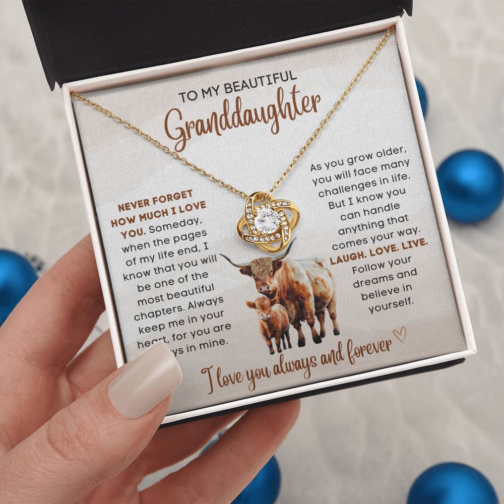 To my beautiful Granddaughter, gift from grandparent, grandma, grandpa, gift for Christmas, birthday, graduation, wedding, new job, necklace gift, pendant necklace, best Christmas gift