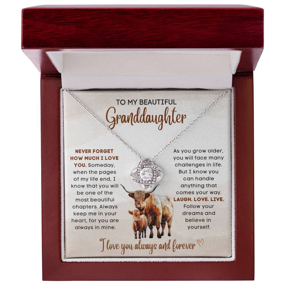 To my beautiful Granddaughter, gift from grandparent, grandma, grandpa, gift for Christmas, birthday, graduation, wedding, new job, necklace gift, pendant necklace, best Christmas gift