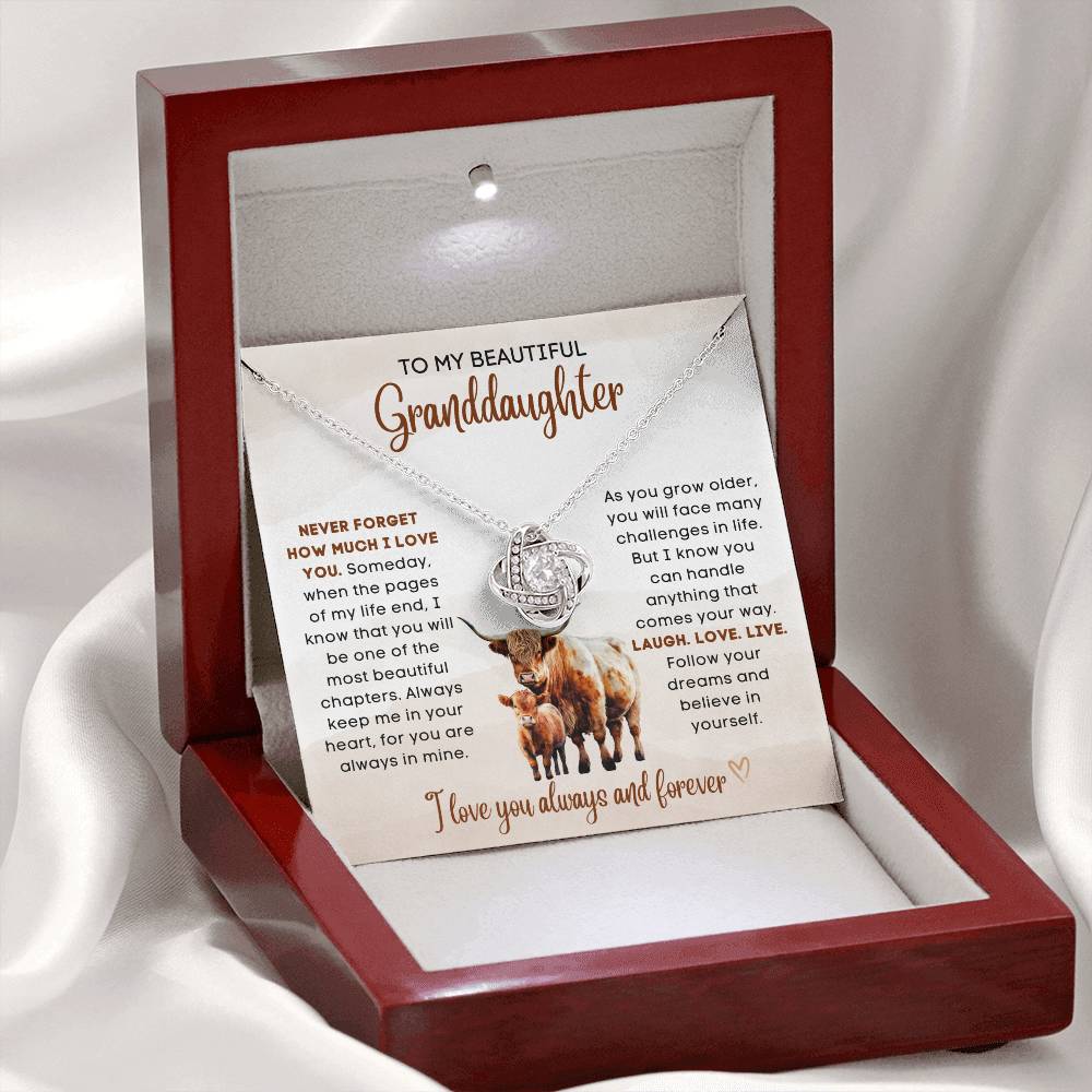 To my beautiful Granddaughter, gift from grandparent, grandma, grandpa, gift for Christmas, birthday, graduation, wedding, new job, necklace gift, pendant necklace, best Christmas gift