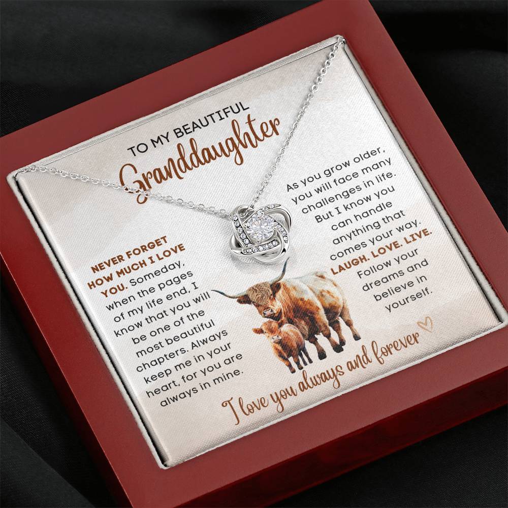 To my beautiful Granddaughter, gift from grandparent, grandma, grandpa, gift for Christmas, birthday, graduation, wedding, new job, necklace gift, pendant necklace, best Christmas gift