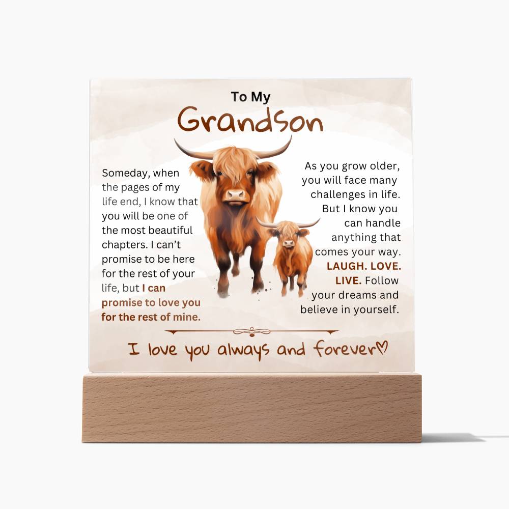 To My Grandson From Granddad or Grandma - Acrylic Gift Plaque With LED Night Lights Best  Christmas Gift , Birthday Gift, Graduation Gift