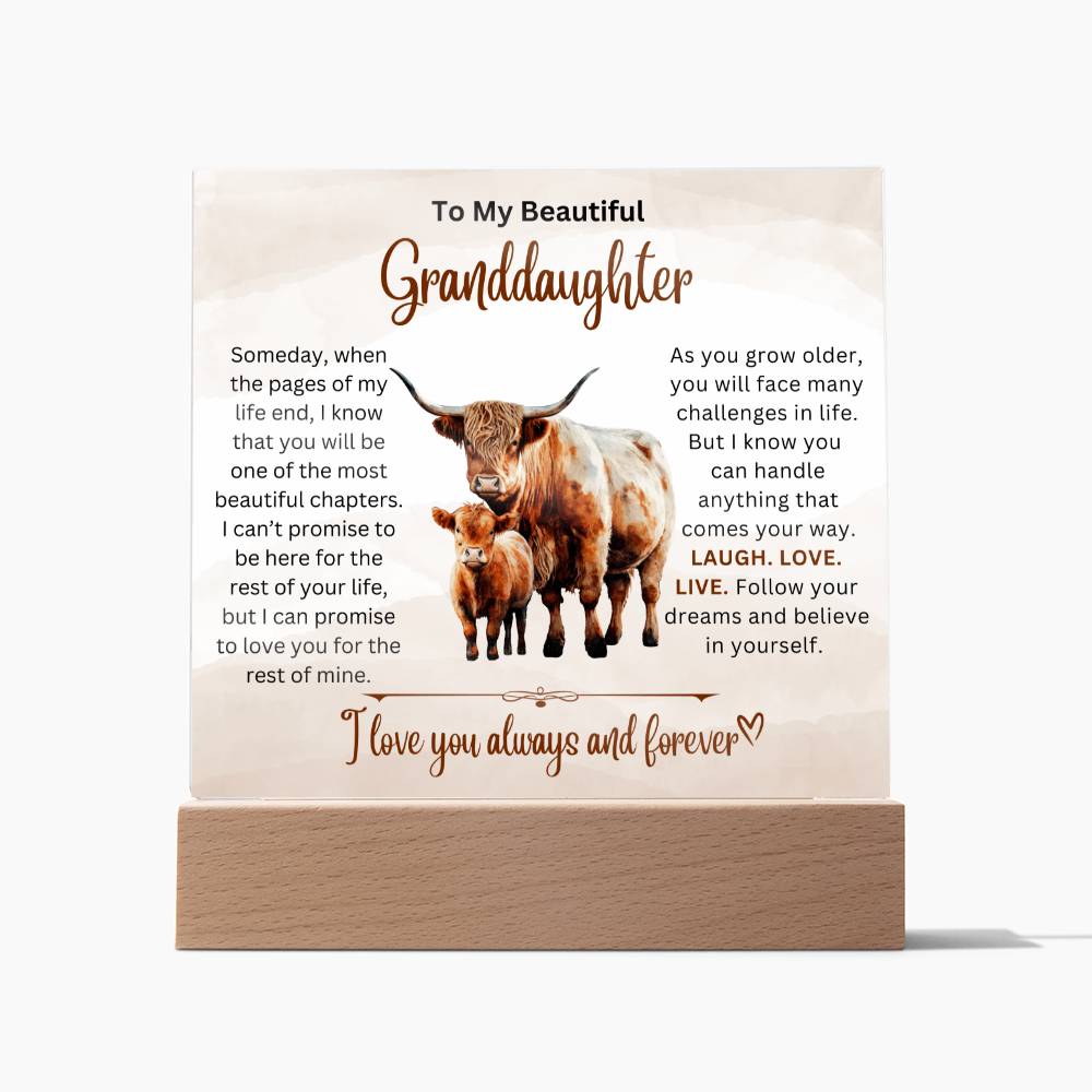 To Beautiful Granddaughter - Laugh Love Live - Acrylic Gift Plaque With LED Night Light Highland Bull Cow Design 