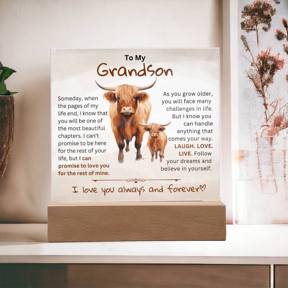 To My Grandson From Granddad or Grandma - Acrylic Gift Plaque With LED Night Lights Best  Christmas Gift , Birthday Gift, Graduation Gift Highland Bull Design