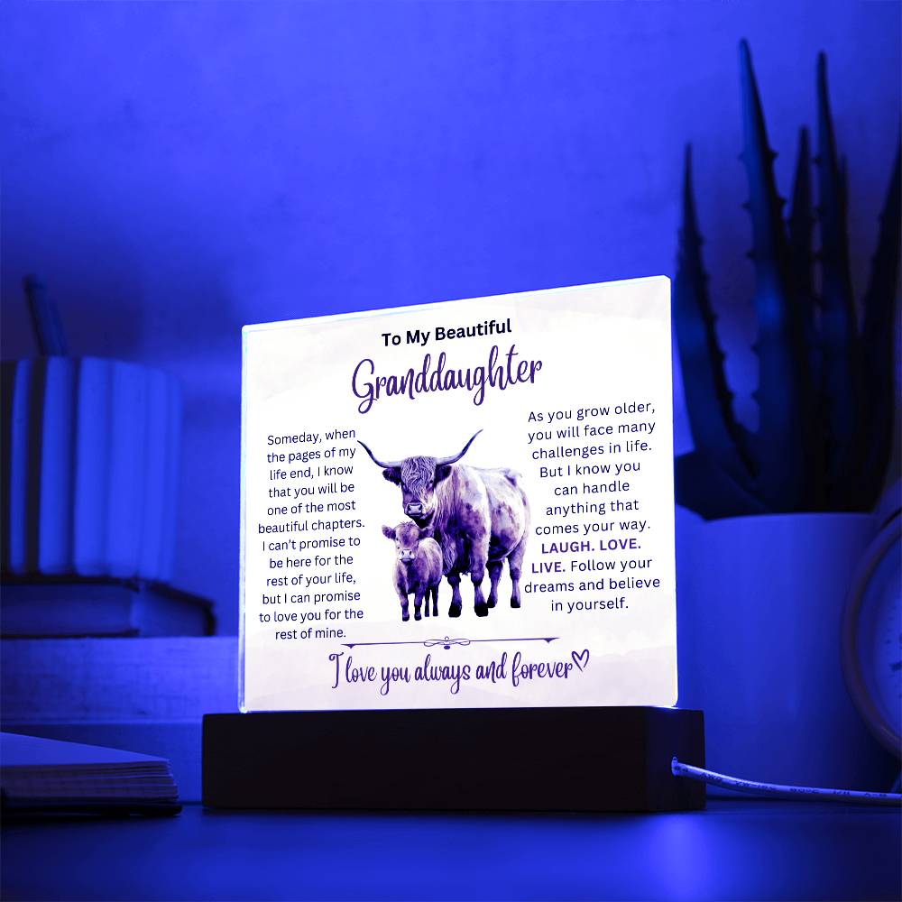 To Beautiful Granddaughter - Laugh Love Live - Acrylic Gift Plaque With LED Night Light Highland Bull Cow Design 