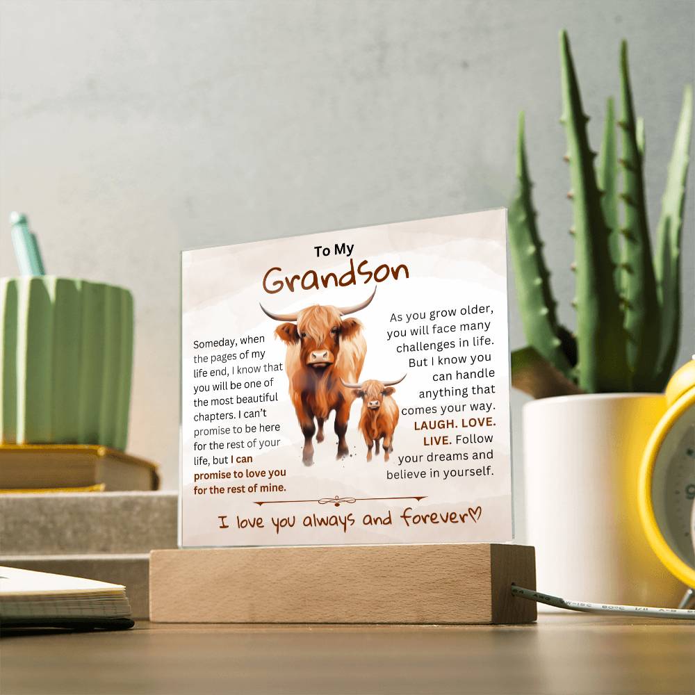 To My Grandson From Granddad or Grandma - Acrylic Gift Plaque With LED Night Lights Best  Christmas Gift , Birthday Gift, Graduation Gift Highland Bull Design