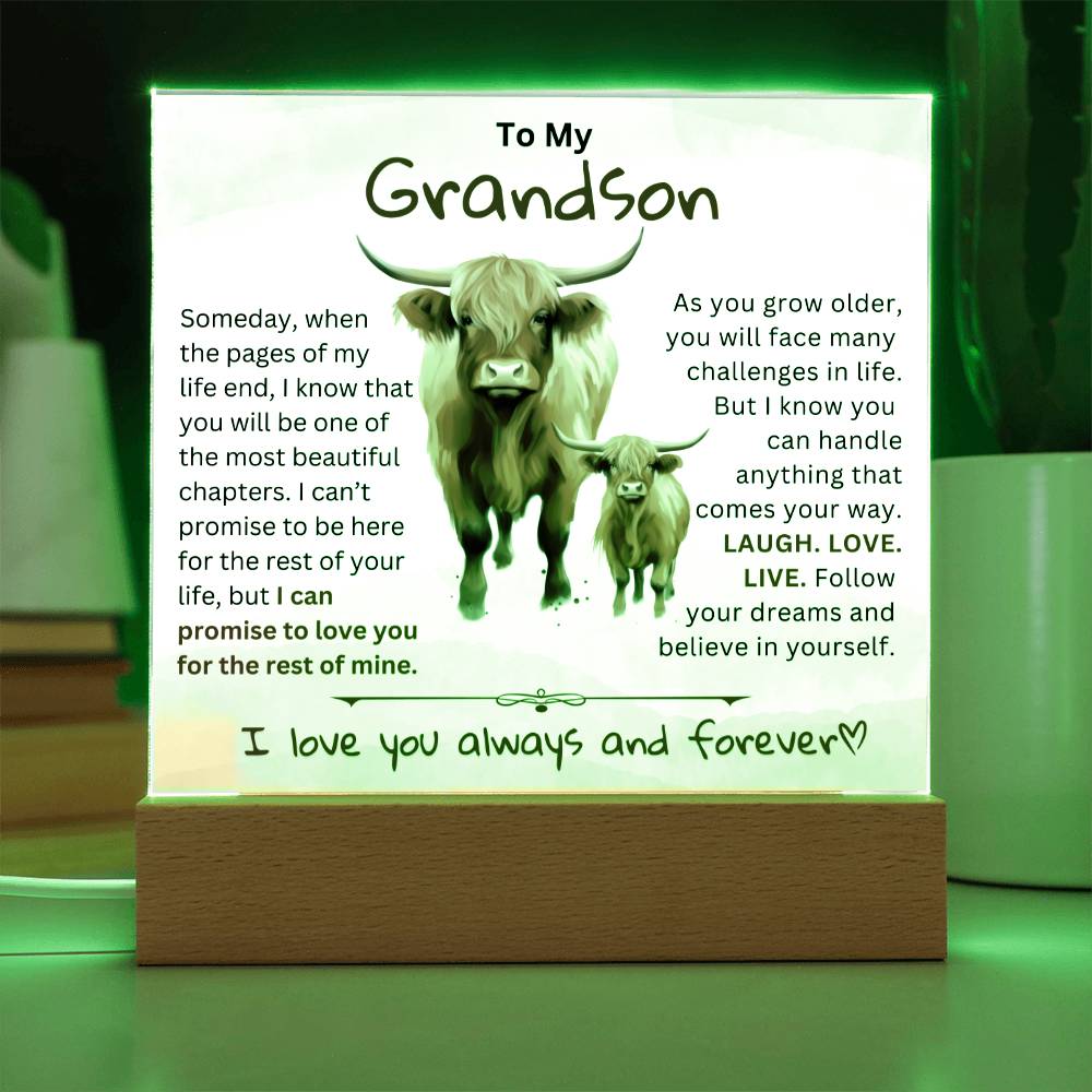 To My Grandson From Granddad or Grandma - Acrylic Gift Plaque With LED Night Lights Best  Christmas Gift , Birthday Gift, Graduation Gift Highland Bull Design