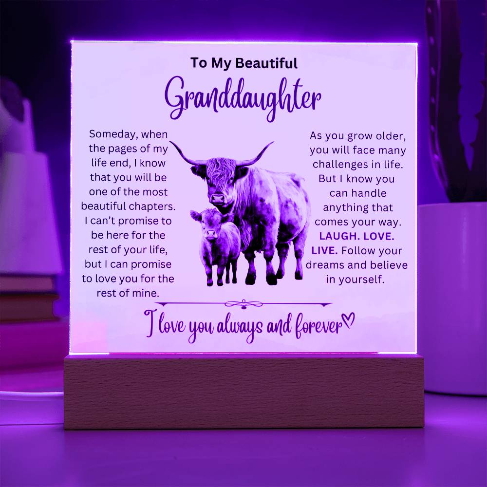 To Beautiful Granddaughter - Laugh Love Live - Acrylic Gift Plaque With LED Night Light Highland Bull Cow Design 