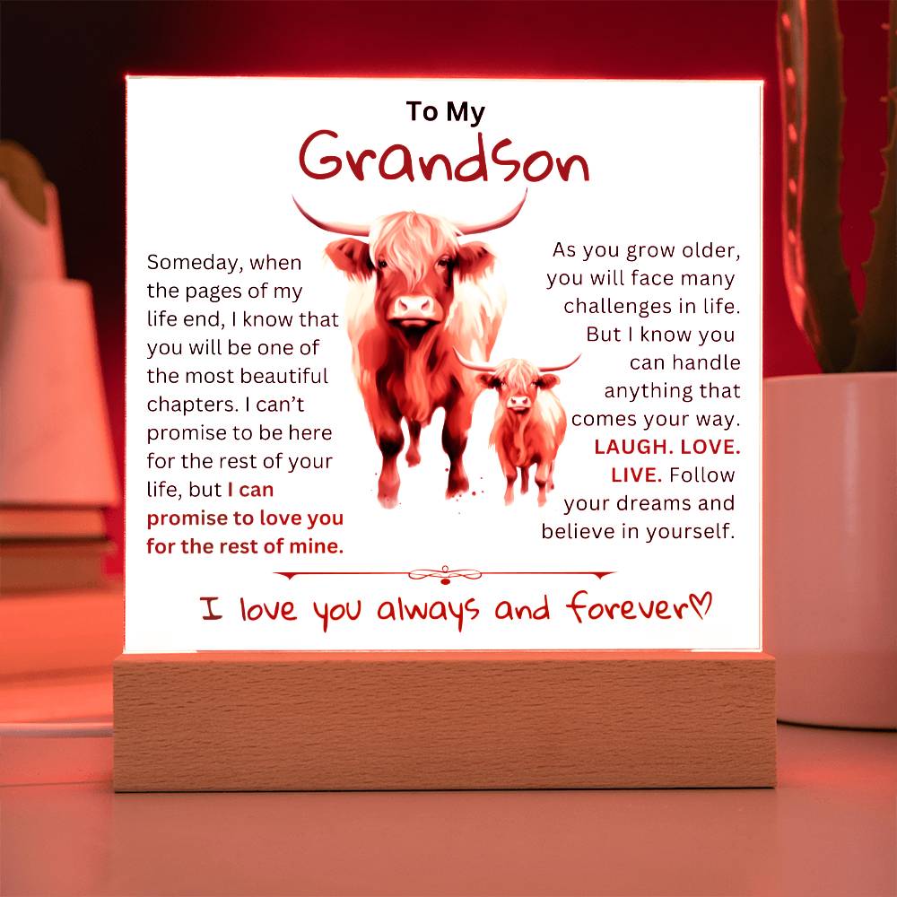 To My Grandson From Granddad or Grandma - Acrylic Gift Plaque With LED Night Lights Best  Christmas Gift , Birthday Gift, Graduation Gift Highland Bull Design