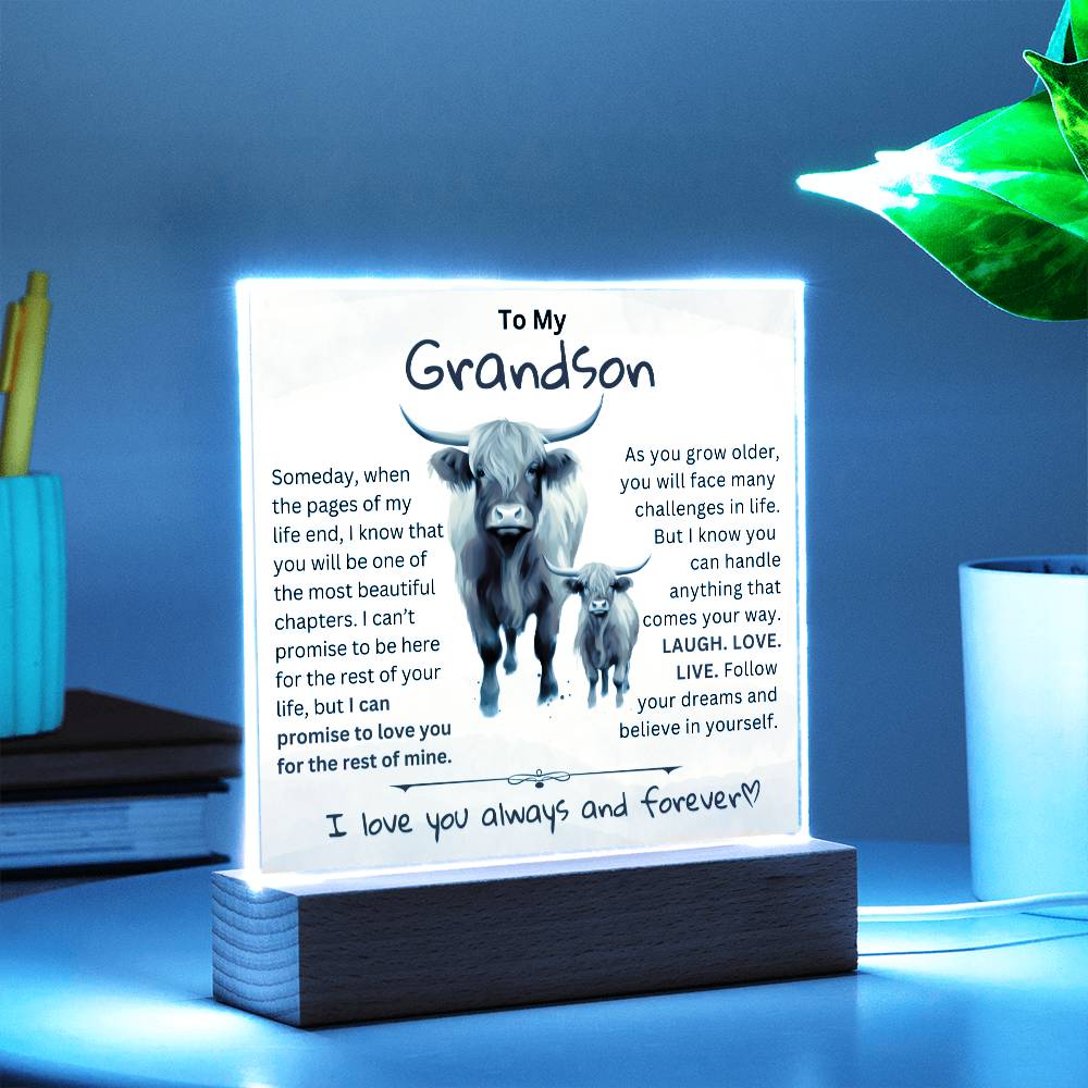 To My Grandson From Granddad or Grandma - Acrylic Gift Plaque With LED Night Lights Best  Christmas Gift , Birthday Gift, Graduation Gift Highland Bull Design